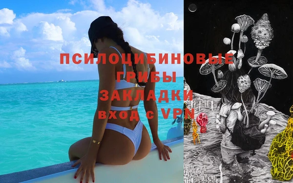 ешки Алзамай