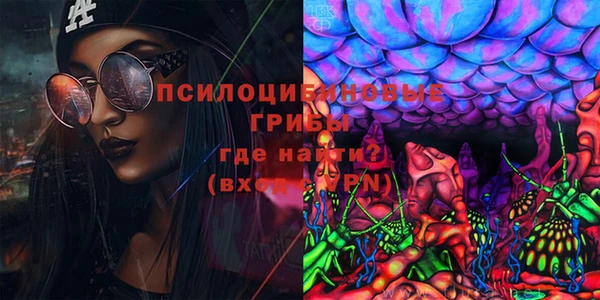 ГАЛЛЮЦИНОГЕННЫЕ ГРИБЫ Алексеевка