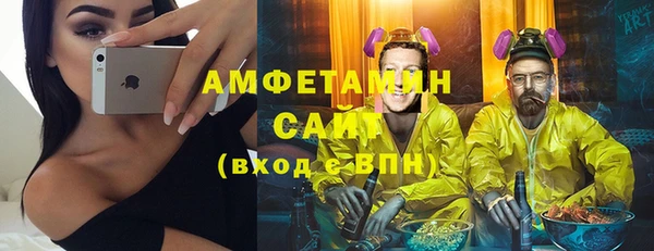молекула духа Костерёво
