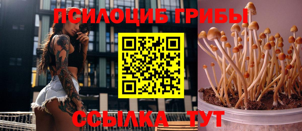 Шадринск  Галлюциногенные грибы мухоморы  Вход с VPN 