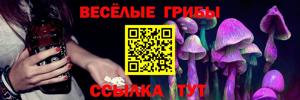 Галлюциногенные грибы Cubensis Шадринск